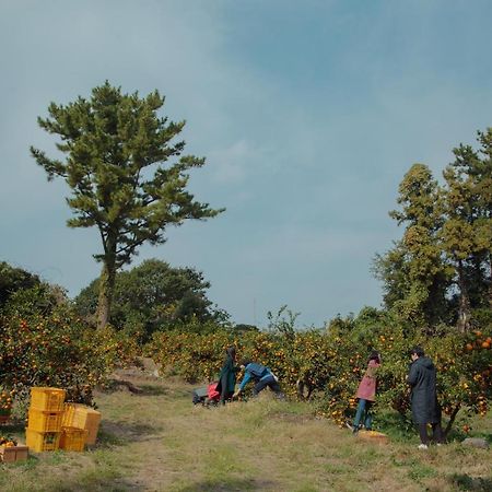Villa Aewol Mihas Jeju Esterno foto